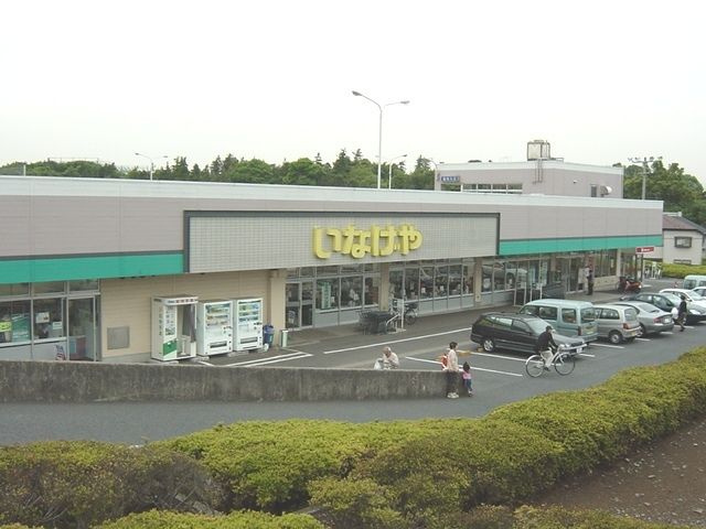 ロイヤル　パピヨン