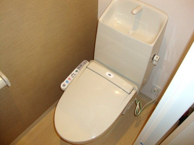 ロイヤル　パピヨンのトイレ|トイレも気になるポイント