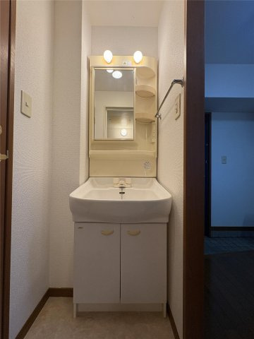 熊本市中央区坪井１丁目の賃貸マンションの独立洗面台