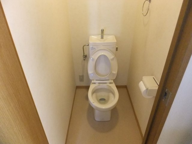 グリーンマンションのトイレ