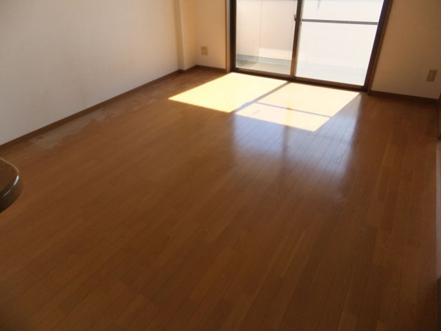 グリーンマンションの洋室