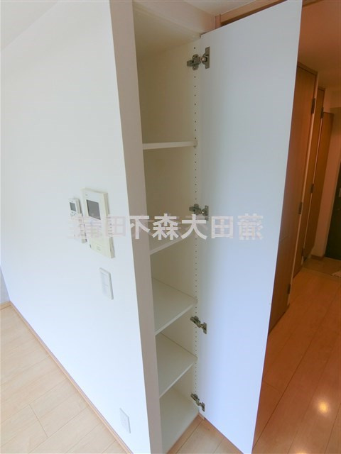 パティーナ大森の収納|洋室入口の棚収納！