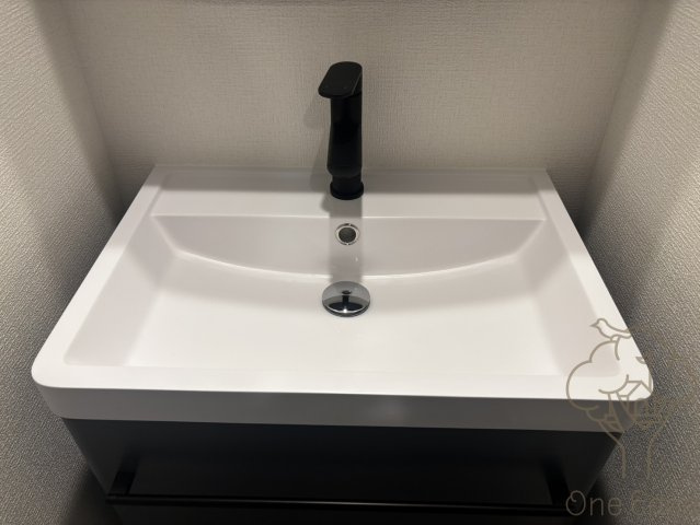 セレニテ東梅田アリエの洗面所