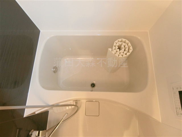 アピチェ池上の浴室