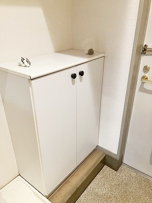 ドミトリ駒沢の玄関