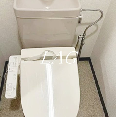 【トイレ】 | サウザンドⅤ  | トイレです。