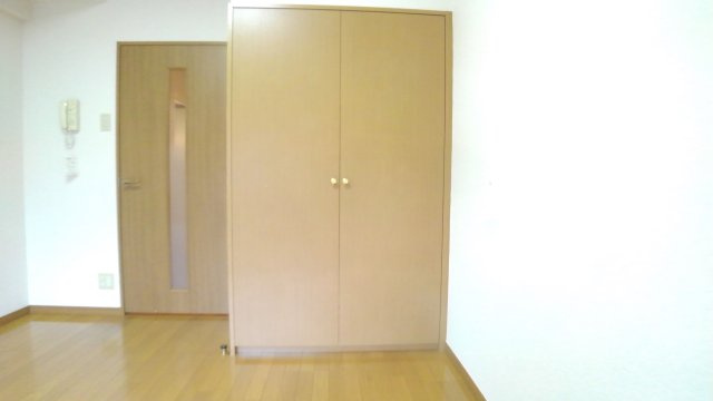 T＆G四谷マンションの収納|クローゼット（反転タイプ）