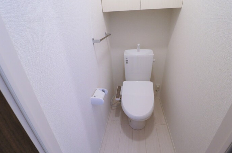 D-room桜　Ⅰ棟 のトイレ
