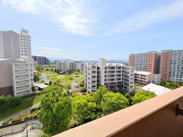 【物件からの展望】