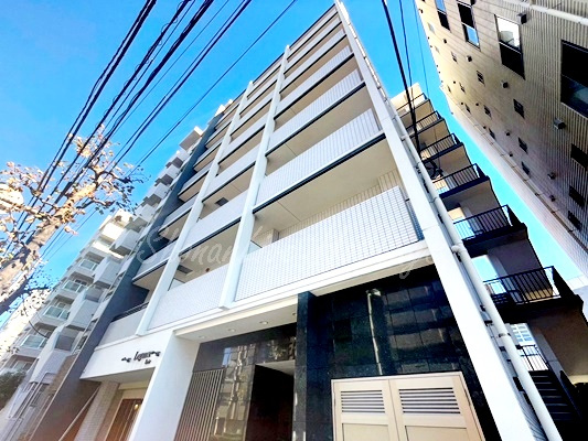 リブリ・MYT