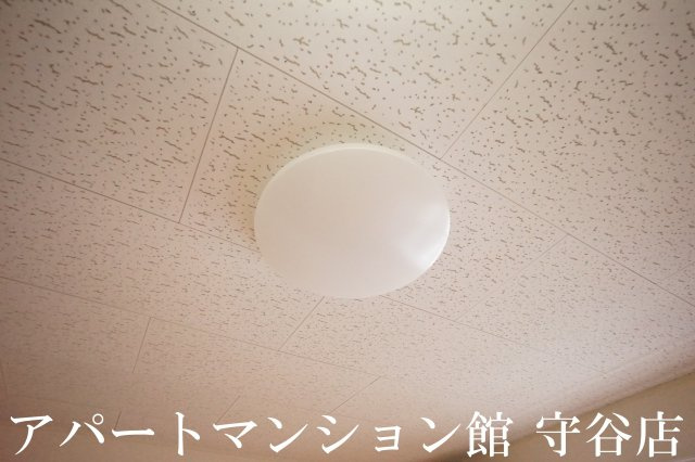 レオパレスキャッスルのその他
