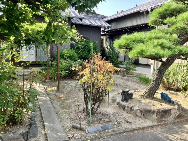 碧南市天神町の庭