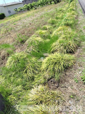６７０９０　美濃加茂市加茂野町今泉土地の外観