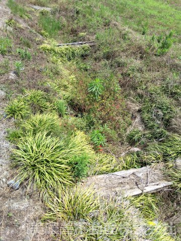 ６７０９０　美濃加茂市加茂野町今泉土地の外観