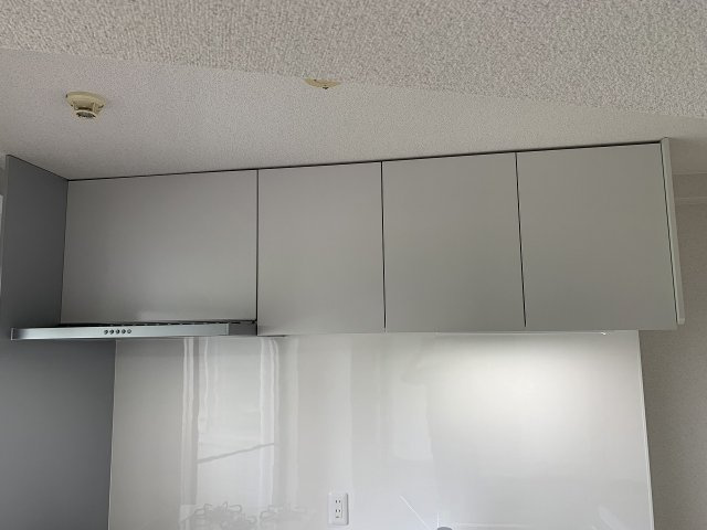 ラヴィスタ東豊中のその他