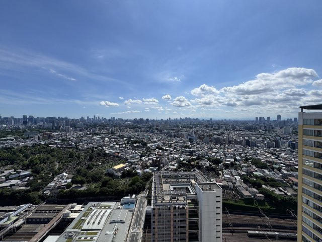 ステーションガーデンタワーの展望
