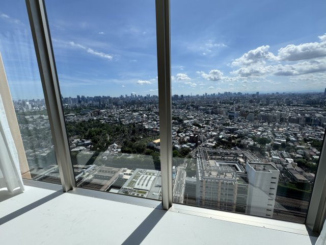 ステーションガーデンタワーの展望