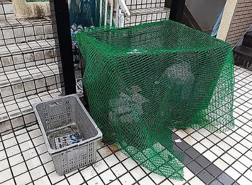 フジパレス湘南五番館のその他