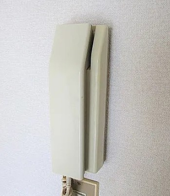 Leonidas長後のセキュリティ