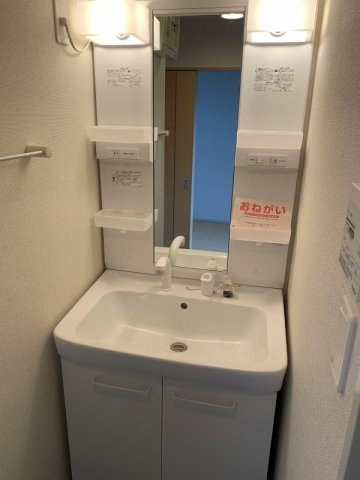 プレウスの洗面所