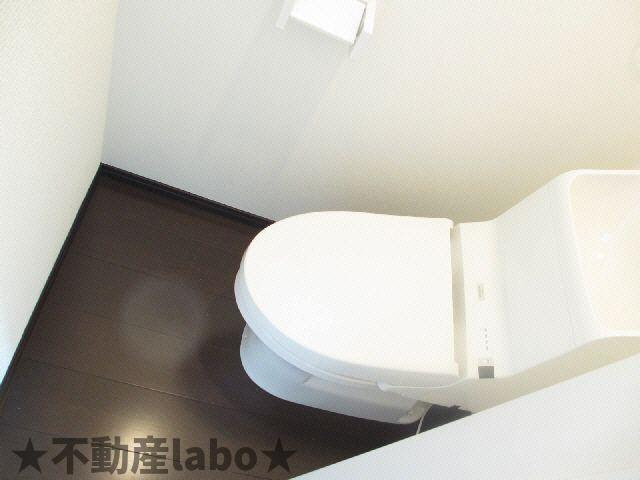 カオス藍住Ａのトイレ