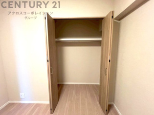 衣類やアクセサリー、小物類の収納が便利で整理整頓がしやすく、部屋の美観を保ちつつ、スペースを最大限に活用できます。衣服のしわやダメージを防ぎ、長持ちさせることができます。