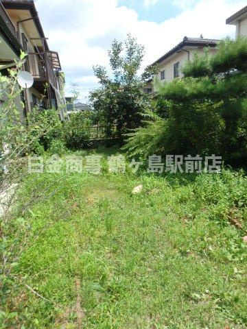 坂戸市鶴舞中古戸建の庭