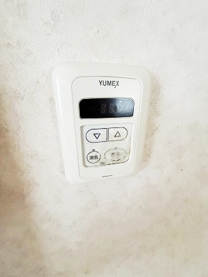 ニューリージェンシーのその他