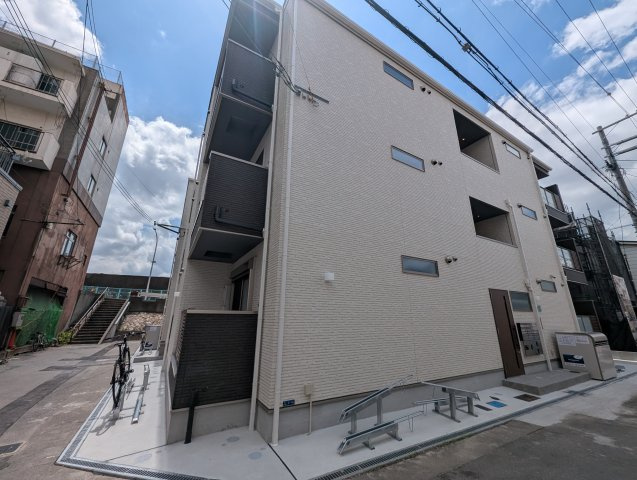 F　asecia　alconの外観