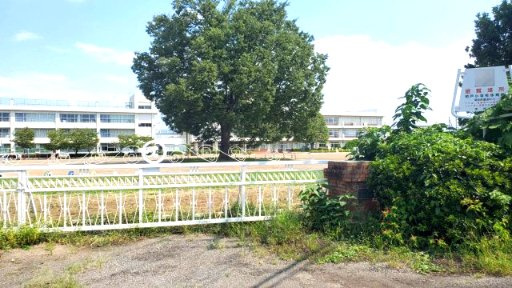 深谷市蓮沼　建築条件なし売地　１００坪超‼の周辺
