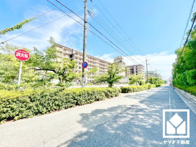 ジークレフ第二武庫川の周辺|敷地西側に「鳴尾新川」が流れています。川沿いは植栽の綺麗な通りになっており、四季の移り変わりが感じられる緑豊かな景観です。落ち着いた雰囲気の中でゆとりある毎日をお過ごしいただけます。