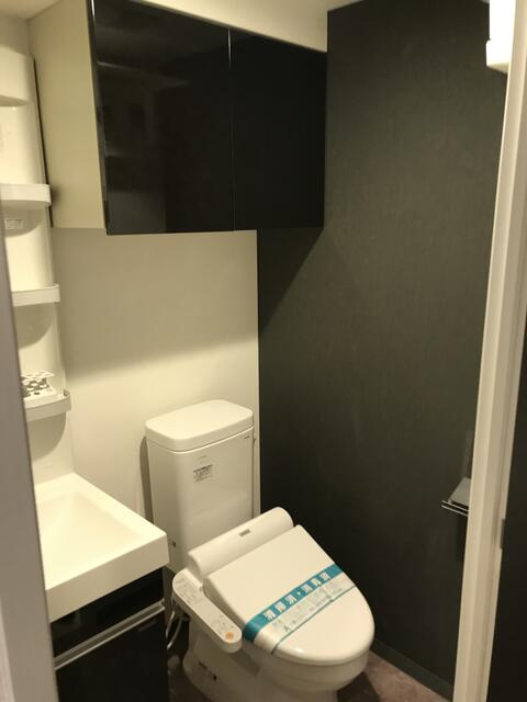 レアライズ日暮里のトイレ|落ち着いた色調のトイレです
