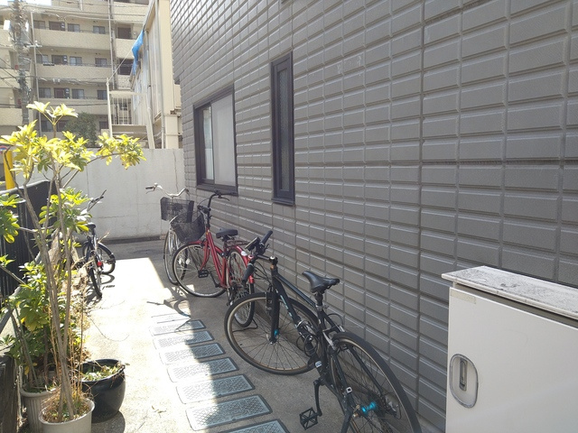 メゾン山王のロビー|自転車はこちらに置かれています☆