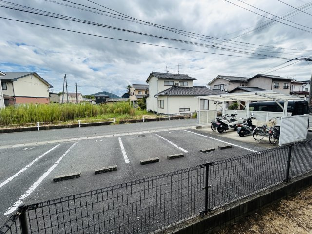 ティファニーDの展望