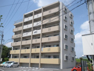 Sky Design IIIの画像