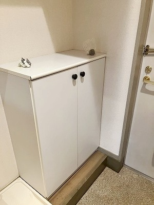 ドミトリ駒沢の玄関