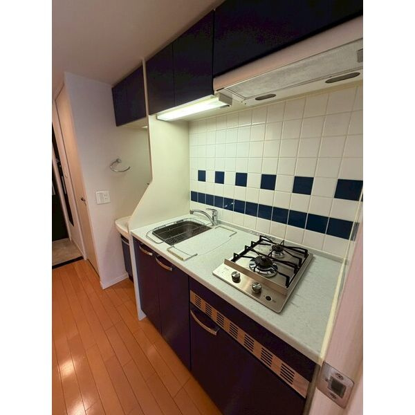 プレサンス名古屋駅前アクシス　名古屋市賃貸　仲介手数料無料のキッチン