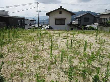 安佐南区毘沙門台３丁目の外観