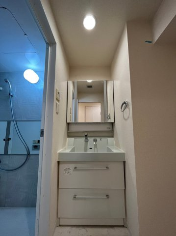 ブラービ南船場の洗面所