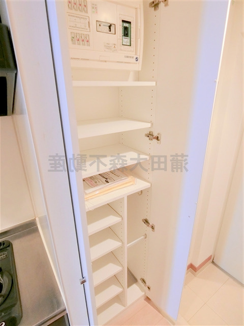 スカイコートパレス大田鵜の木の収納|玄関収納　シューズBOX