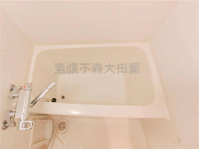 スカイコートパレス大田鵜の木の浴室