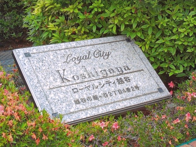 ローヤルシティ越谷のその他
