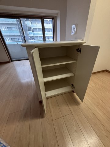 立川市柴崎町２丁目の賃貸マンションの収納|こまごまとしたものを収納できそうですね