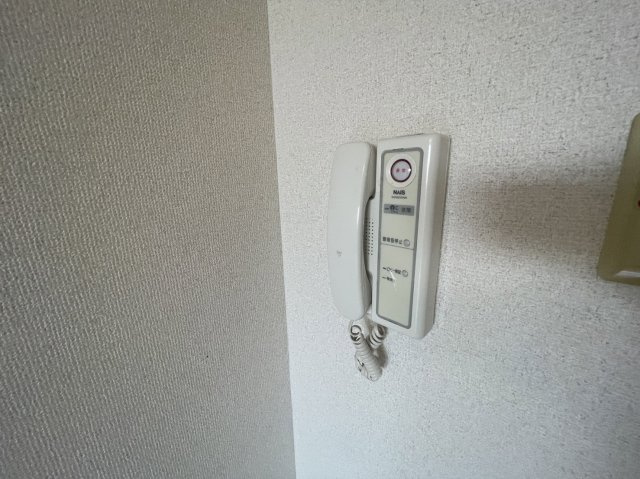 アレルヤ