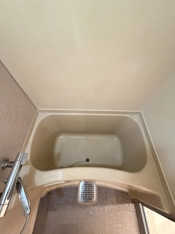 ビジタル高津の浴室
