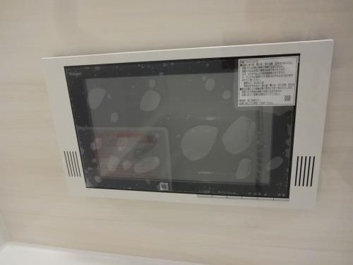 ヴィレラ辛島のその他