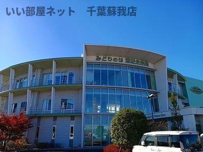 グリーンハイムの周辺