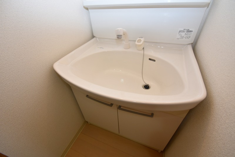 東大阪市若江西新町４丁目の賃貸マンションの洗面所