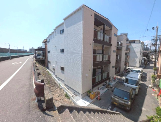F　asecia　alconの外観