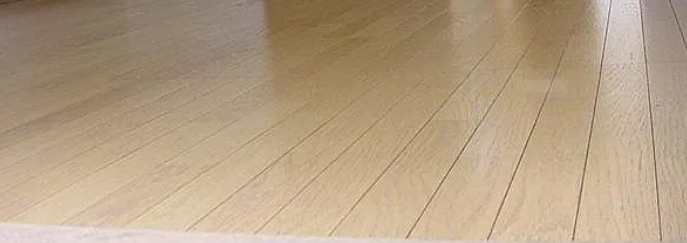 ウインベル巣鴨の居間・リビング